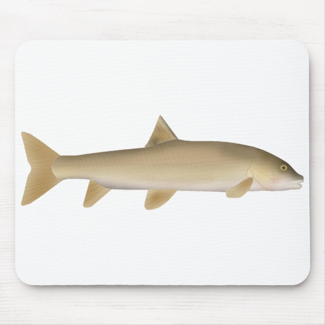 Common Snowtrout Mouse Mat (Front)