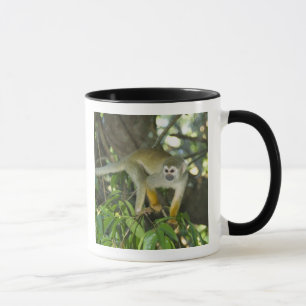 Common Squirrel Monkey, (Saimiri sciureus), Rio Mug