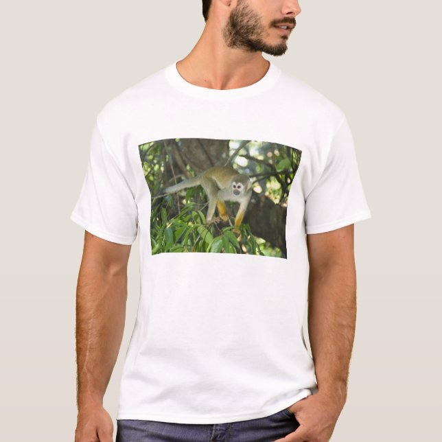 Common Squirrel Monkey, (Saimiri sciureus), Rio T-Shirt (Front)