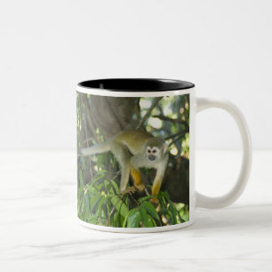 Common Squirrel Monkey, (Saimiri sciureus), Rio Two-Tone Coffee Mug