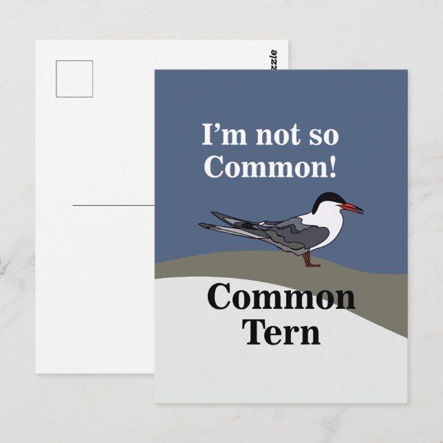 Common Tern Seabird Bird Funny Postcard (Front/Back)