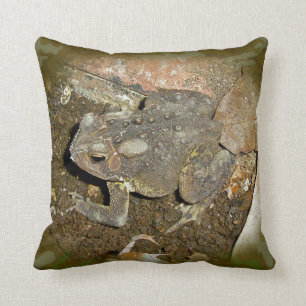 Common Toad - Bufo bufo Cushion