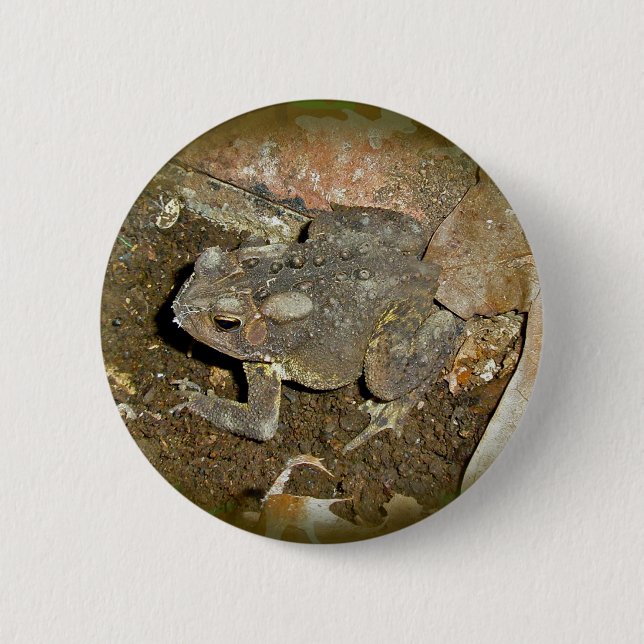Common Toad Coordinating Items 6 Cm Round Badge (Front)