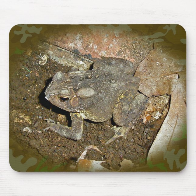 Common Toad Coordinating Items Mouse Mat (Front)