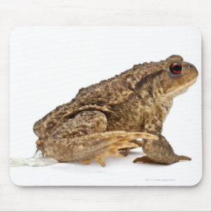 Common toad or European toad (Bufo bufo) pissing Mouse Mat