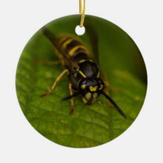 Common Wasp Ceramic Tree Decoration