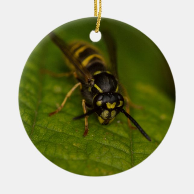 Common Wasp Ceramic Tree Decoration (Front)