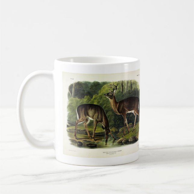 Common (White-tailed) Deer - Audubon's Quadrupeds Coffee Mug (Left)