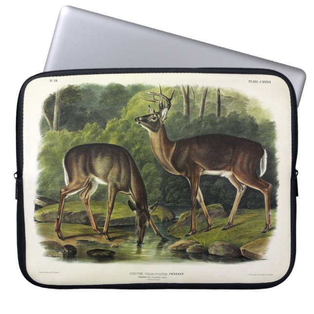 Common (White-tailed) Deer - Audubon's Quadrupeds Laptop Sleeve (Front)