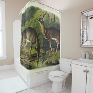 Common (White-tailed) Deer - Audubon's Quadrupeds Shower Curtain
