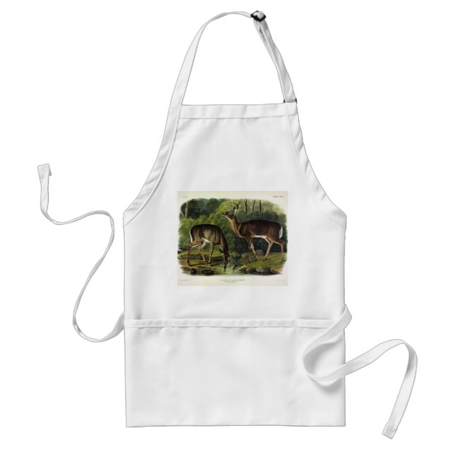 Common (White-tailed) Deer - Audubon's Quadrupeds Standard Apron (Front)
