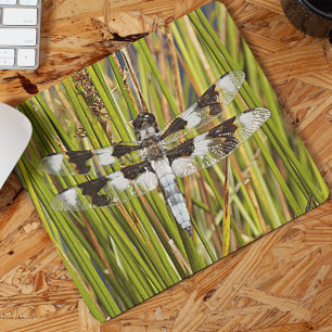 Common Whitetail Dragonfly Photo Mouse Mat