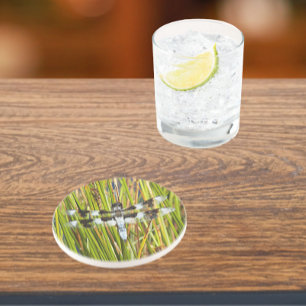 Common Whitetail Dragonfly Photo Sandstone Coaster