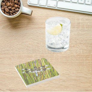 Common Whitetail Dragonfly Photo Stone Coaster