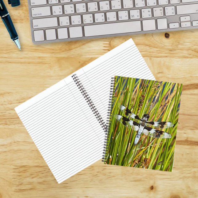 Common Whitetail Skimmer Dragonfly Photo Notebook (In Situ)