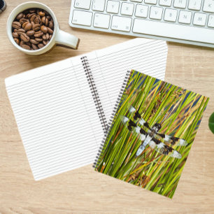 Common Whitetail Skimmer Dragonfly Photo Notebook