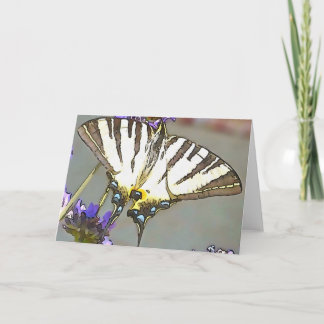 Common Yellow Swallowtail On Lilac Flowers Black O Card
