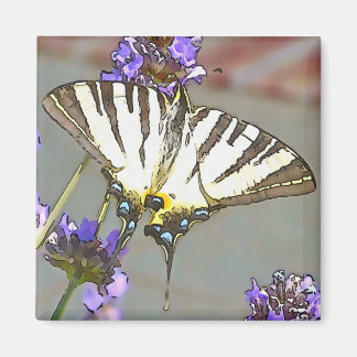 Common Yellow Swallowtail On Lilac Flowers Black O Magnet