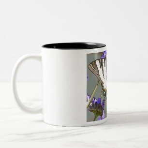 Common Yellow Swallowtail On Lilac Flowers Black O Two-Tone Coffee Mug