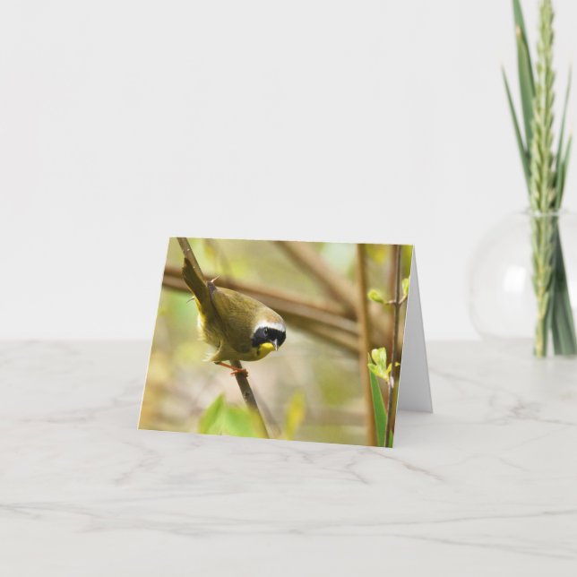 Common Yellowthroat - Blank Note Card (Front)