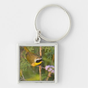 Common Yellowthroat Geothlypis trichas) male, Key Ring