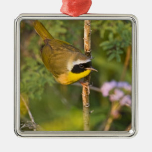 Common Yellowthroat Geothlypis trichas) male, Metal Tree Decoration