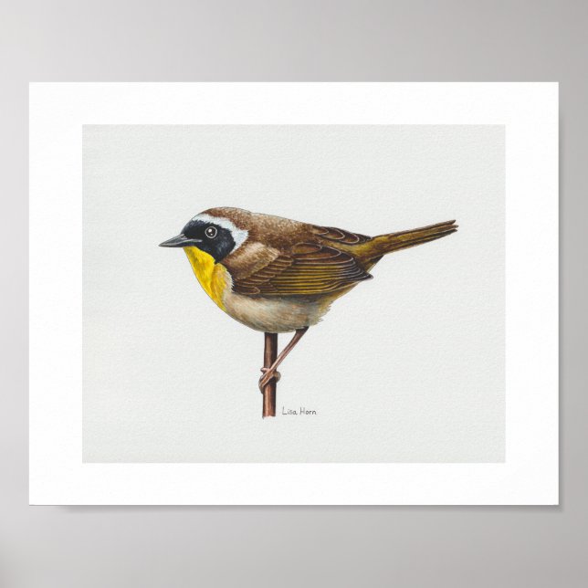 Common Yellowthroat Warbler Art Print (Front)