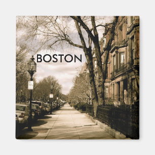 Commonwealth Avenue Neighbourhood (sepia) Magnet