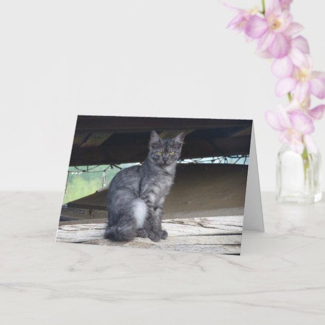 Community Cat Portrait Card (Orchid)