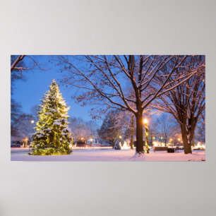 Community Christmas Tree, Worthington, Ohio Poster