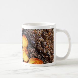 Community Coffee Mug