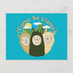 Como Se Llama? Postcard