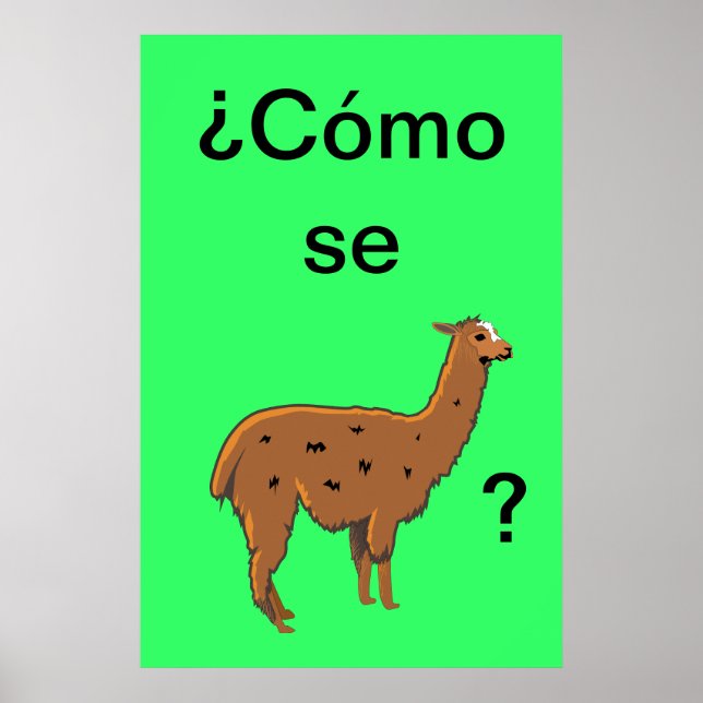 ¿Cómo se llama? Poster (Front)