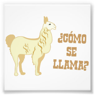 Como Se Llama?  What is your name? Photo Print