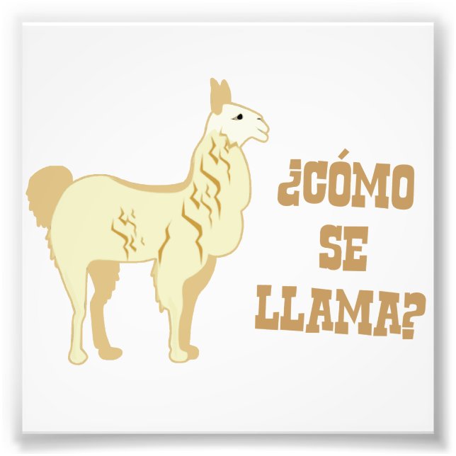Como Se Llama?  What is your name? Photo Print (Front)
