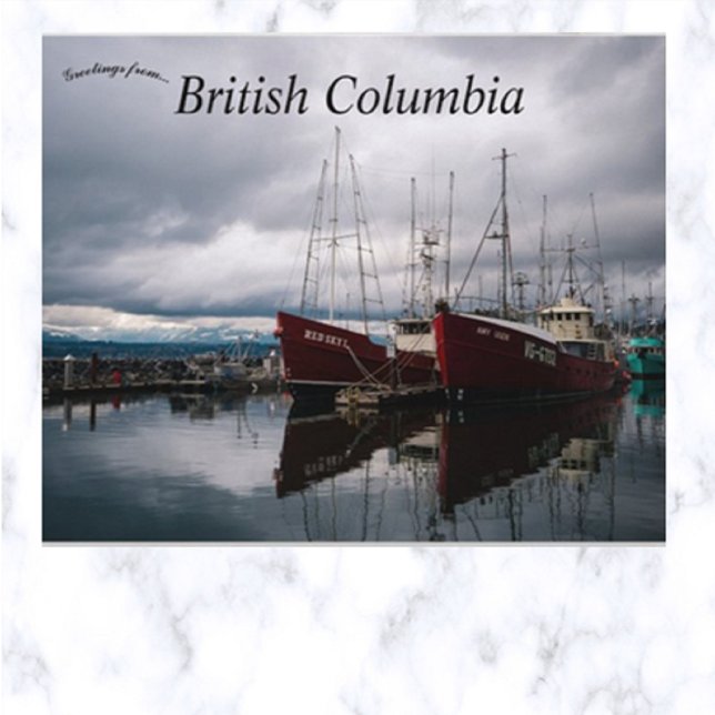 Comox Municipal Marina British Columbia Canada Postcard (Creator Uploaded)