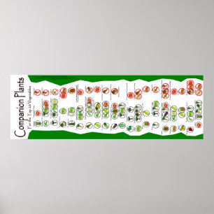 Companion Plants Poster: The Top 20 Garden Plants Poster