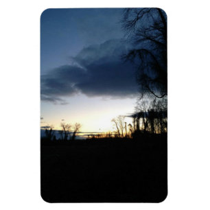 Companion to the Tree Magnet
