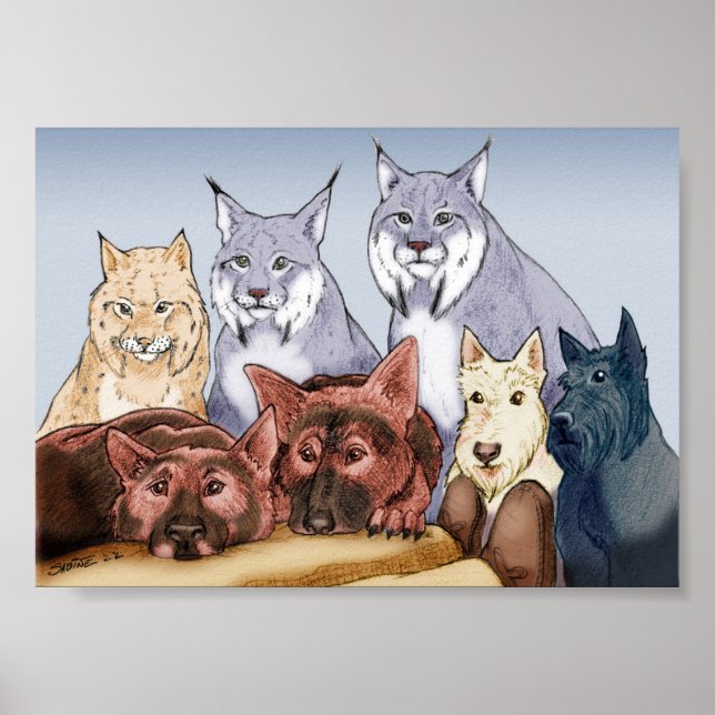 Companions - Coloured Poster (Front)