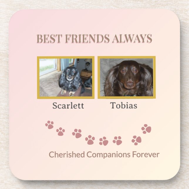 Companions Connected by Pawprints Coaster (Front)