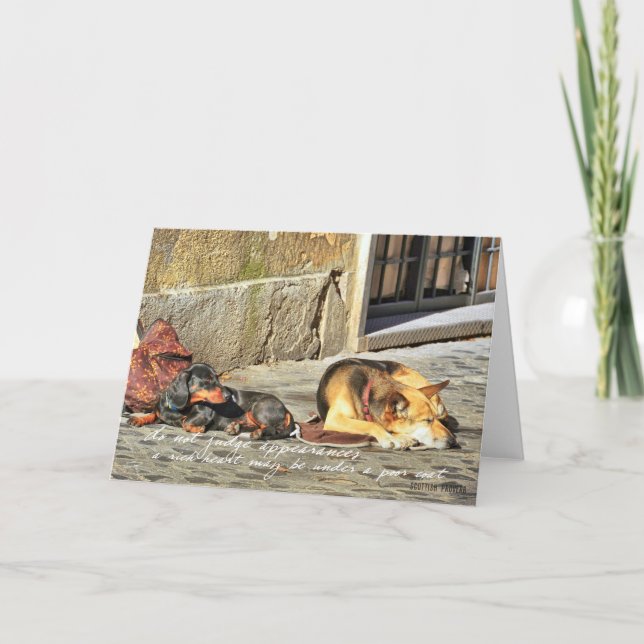 COMPANIONS Greeting Card (Front)