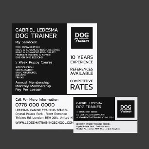 Company Logo, Dog Trainer Advertising Flyer