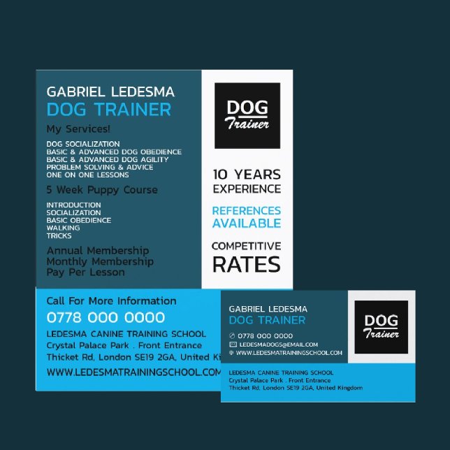Company Logo, Dog Trainer Advertising Flyer (Creator Uploaded)