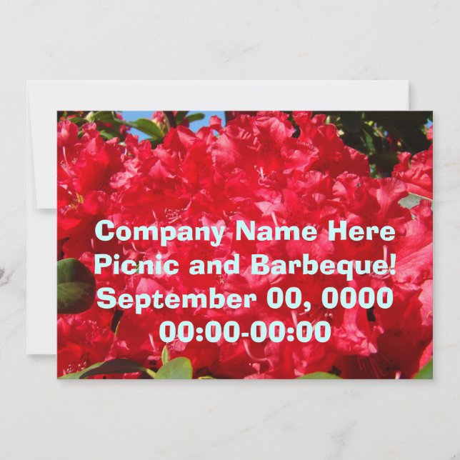 Company Picnic Corporate Barbeque Invitations (Front)