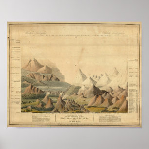 Comparative View Poster