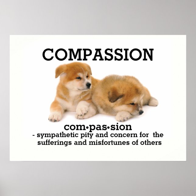 COMPASSION - Vocabulary  Poster (Front)