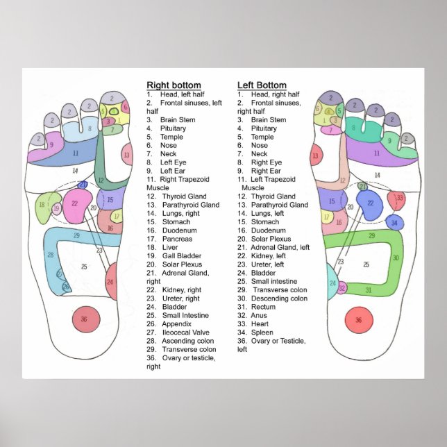 Complete foot Acupressure diagram Poster (Front)