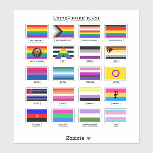 Complete LGBTQ+ Pride Flag Guide | Zazzle