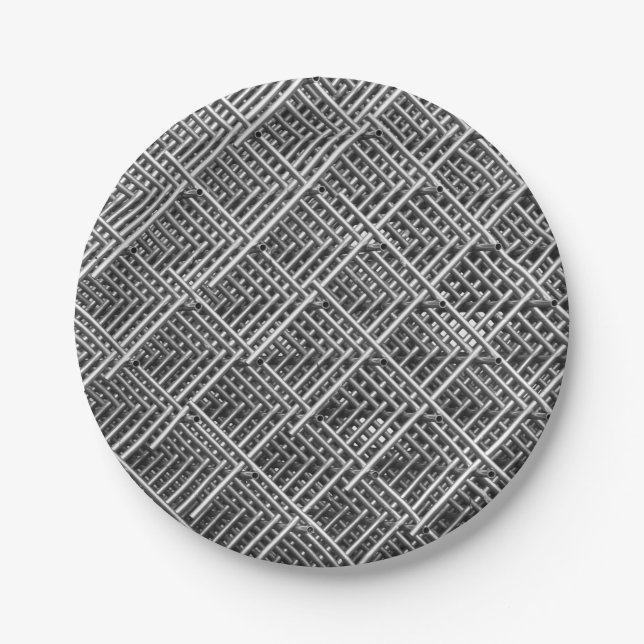 Complex Metal Structure Paper Plate (Front)