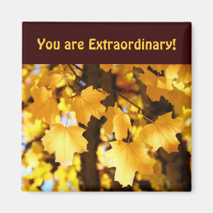Compliment magnets You are Extraordinary Autumn